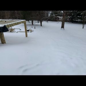 Meet your Posher, Franklin